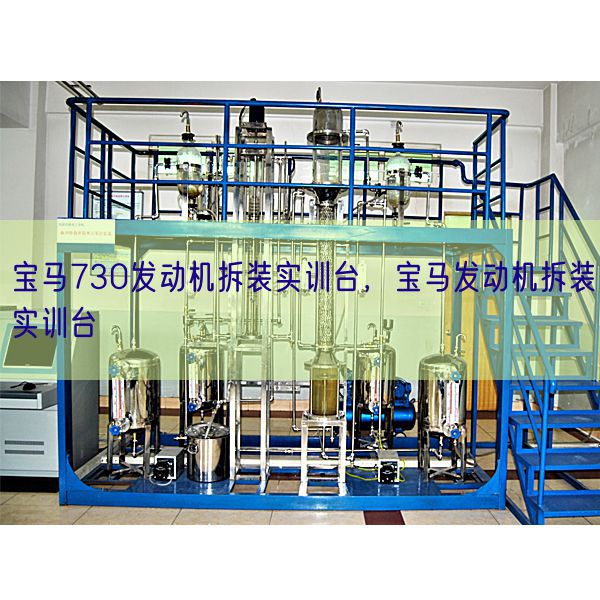 寶馬730發(fā)動機(jī)拆裝實訓(xùn)臺，寶馬發(fā)動機(jī)拆裝實訓(xùn)臺(圖1)